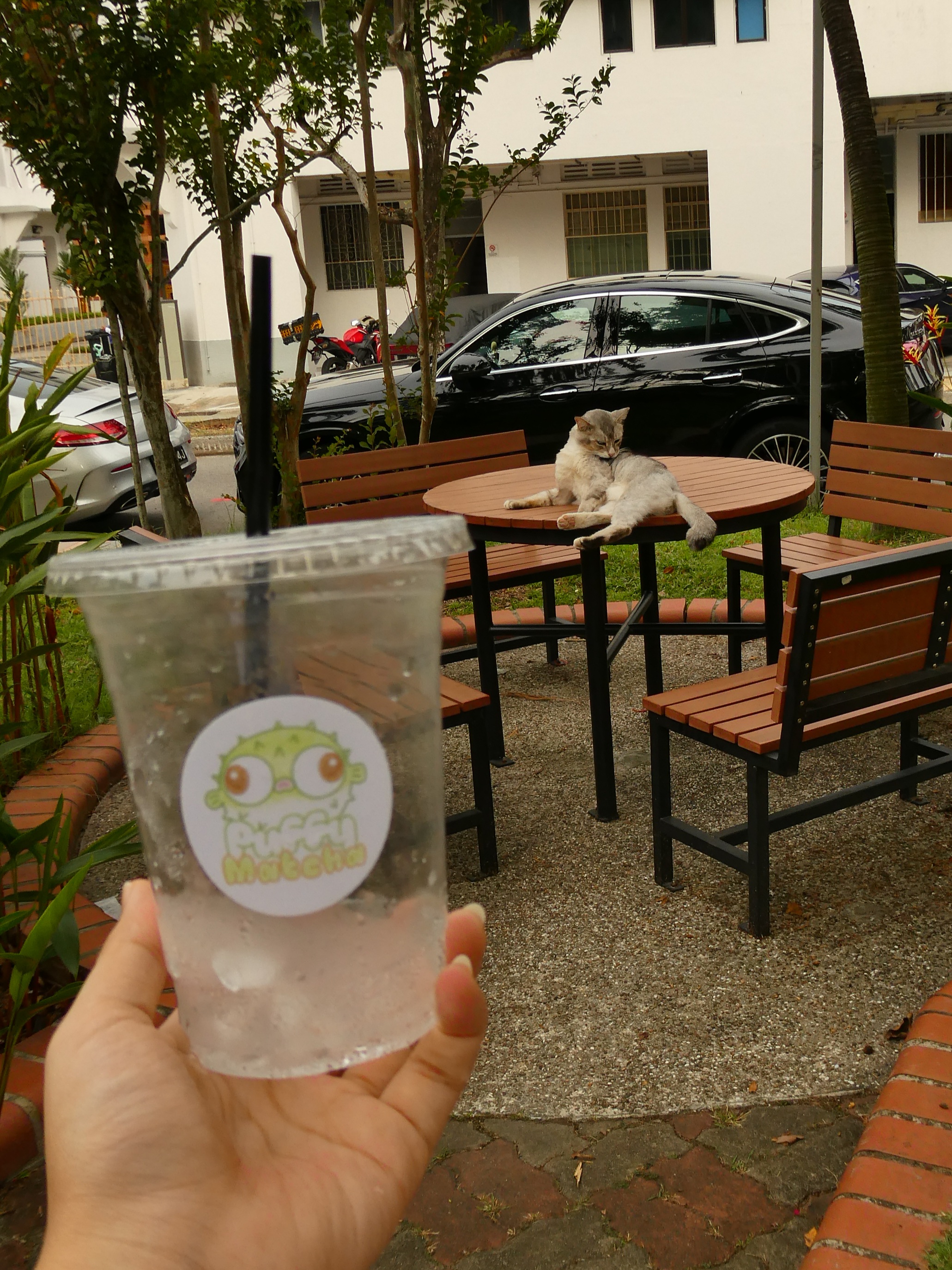 Puffy Matcha photo 4