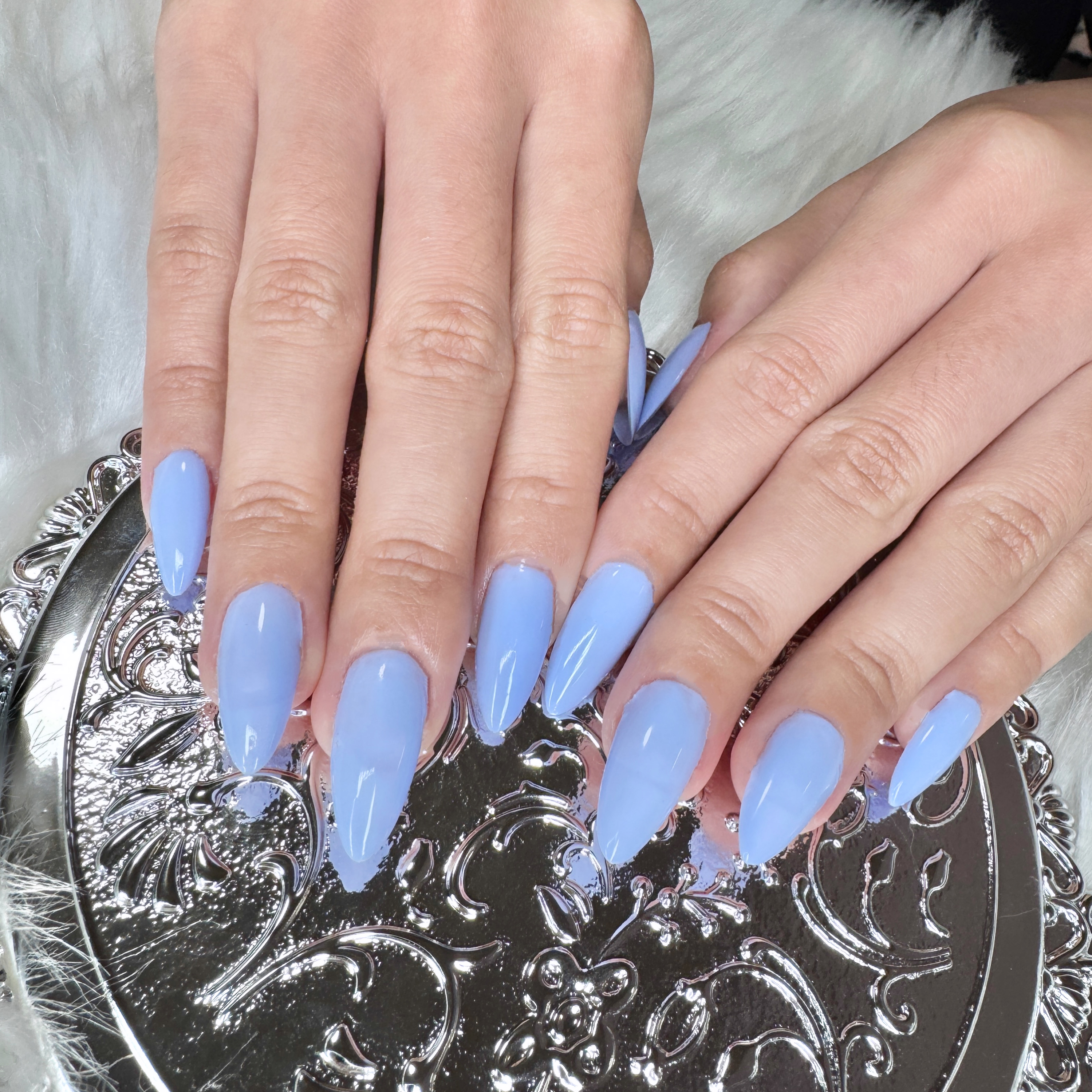 Extension w Single Colour